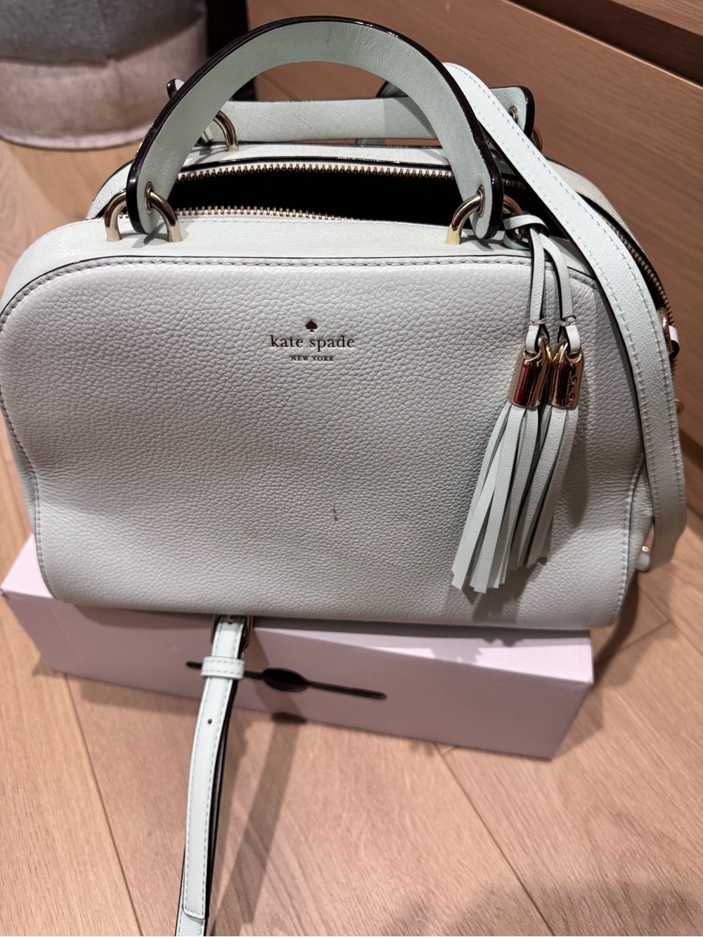 kate spade Pale Mint Leather Crossbody Satchel with Tassel